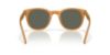 Picture of Costa Del Mar Sunglasses 6S2018