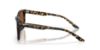 Picture of Costa Del Mar Sunglasses 6S2019