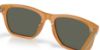 Picture of Costa Del Mar Sunglasses 6S2019