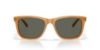 Picture of Costa Del Mar Sunglasses 6S2019