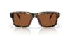Picture of Costa Del Mar Sunglasses 6S2020