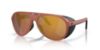 Picture of Costa Del Mar Sunglasses 6S9117