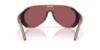 Picture of Costa Del Mar Sunglasses 6S9117
