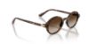 Picture of Vogue Sunglasses VO5692S