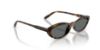 Picture of Vogue Sunglasses VO5697SU