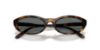 Picture of Vogue Sunglasses VO5697SU
