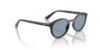 Picture of Vogue Sunglasses VJ2033