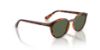 Picture of Vogue Sunglasses VJ2033