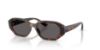 Picture of Vogue Sunglasses VJ2034