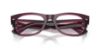 Picture of Ray Ban Eyeglasses RX0832V