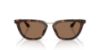 Picture of Giorgio Armani Sunglasses AR8253U
