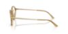 Picture of Giorgio Armani Eyeglasses AR7287