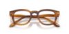 Picture of Giorgio Armani Eyeglasses AR7291U