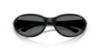 Picture of Arnette Sunglasses AN4368
