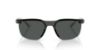 Picture of Arnette Sunglasses AN4370