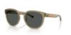 Picture of Arnette Sunglasses AN4371
