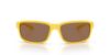 Picture of Arnette Sunglasses AN4373