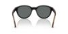 Picture of Arnette Sunglasses AN4375