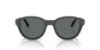 Picture of Arnette Sunglasses AN4375