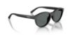 Picture of Arnette Sunglasses AN4375