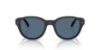 Picture of Arnette Sunglasses AN4375