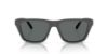 Picture of Arnette Sunglasses AN4376