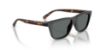 Picture of Arnette Sunglasses AN4376