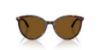 Picture of Jimmy Choo Sunglasses JC5060