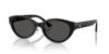 Picture of Jimmy Choo Sunglasses JC5064D