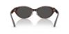 Picture of Jimmy Choo Sunglasses JC5064D