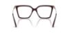 Picture of Jimmy Choo Eyeglasses JC3054U