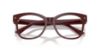 Picture of Jimmy Choo Eyeglasses JC3056F