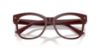 Picture of Jimmy Choo Eyeglasses JC3056