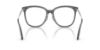Picture of Jimmy Choo Eyeglasses JC3060F