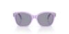 Picture of Emporio Armani Sunglasses EK4009U
