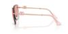 Picture of Dolce & Gabbana Sunglasses DG2332B