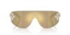 Picture of Dolce & Gabbana Sunglasses DG2333B