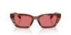 Picture of Dolce & Gabbana Sunglasses DG4532