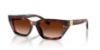 Picture of Dolce & Gabbana Sunglasses DG4532