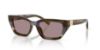 Picture of Dolce & Gabbana Sunglasses DG4532