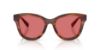 Picture of Dolce & Gabbana Sunglasses DG4533