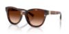 Picture of Dolce & Gabbana Sunglasses DG4533
