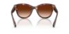 Picture of Dolce & Gabbana Sunglasses DG4533