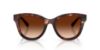 Picture of Dolce & Gabbana Sunglasses DG4533