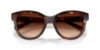 Picture of Dolce & Gabbana Sunglasses DG4533