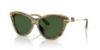 Picture of Dolce & Gabbana Sunglasses DG4534