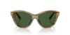 Picture of Dolce & Gabbana Sunglasses DG4534