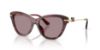 Picture of Dolce & Gabbana Sunglasses DG4534