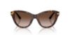 Picture of Dolce & Gabbana Sunglasses DG4534