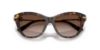 Picture of Dolce & Gabbana Sunglasses DG4534